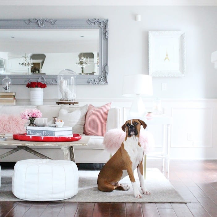 Decorating 101 valentine's decorating 101 - jillian harris Decorating 101 valentine's decorating 101 - jillian harris