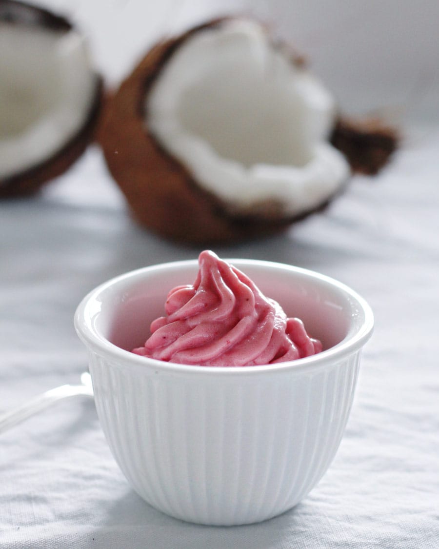 vegan ice cream pregnancy