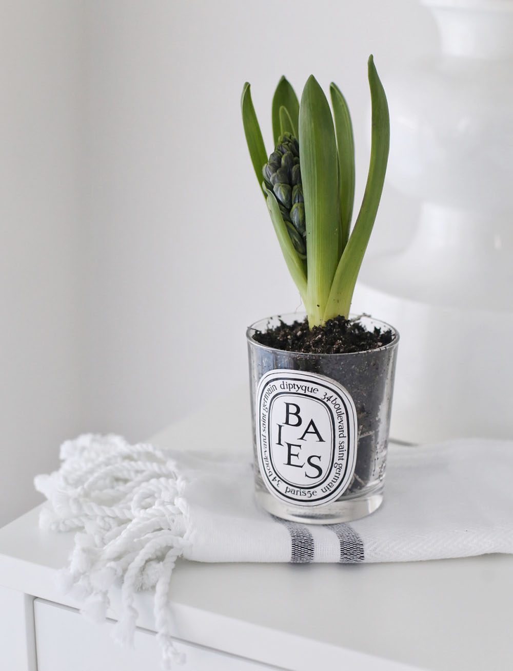 5 Ways to Reuse Your Candle Vessels Jillian Harris